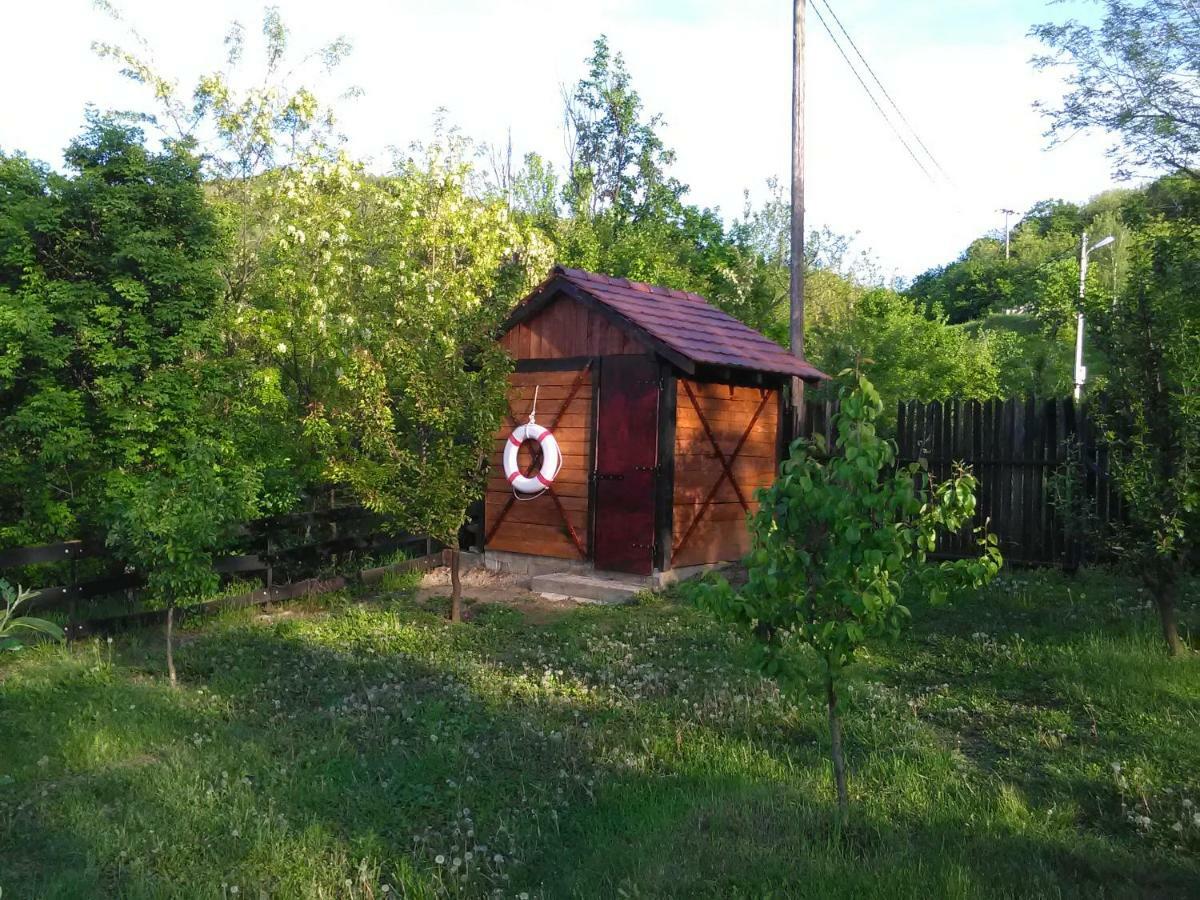 Carobni Breg Villa Golubac Luaran gambar