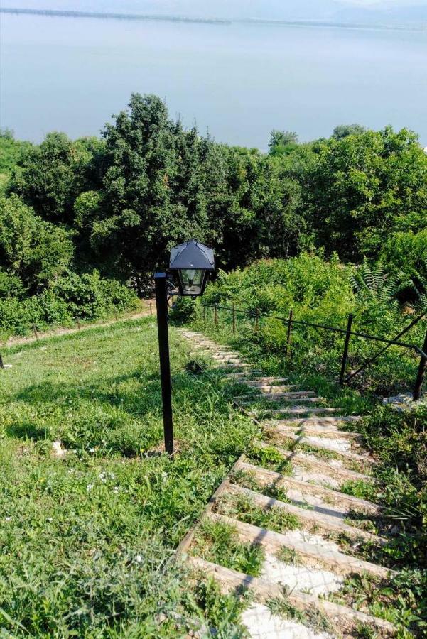 Carobni Breg Villa Golubac Luaran gambar