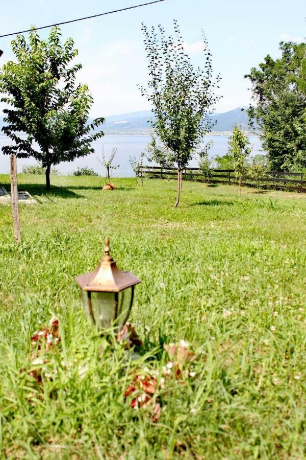 Carobni Breg Villa Golubac Luaran gambar